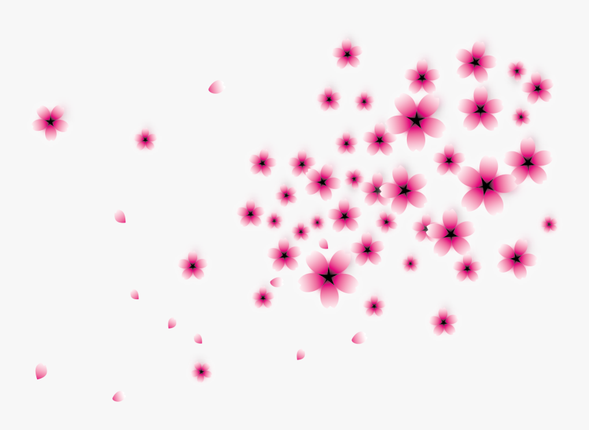 Cherry Blossom Petals Falling Png - 樱花 矢量 图, Transparent Png
