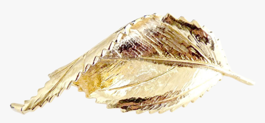 Autumn Brooch Textured Design - Shell, HD Png Download