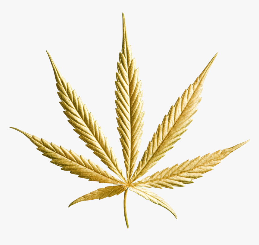 Image17 Transparent Weed Leaf Png Png Download Transparent Png Image Pngitem