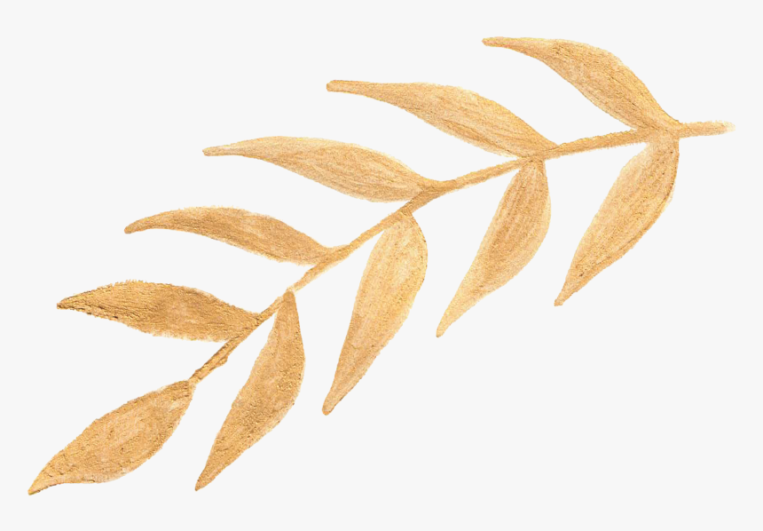 Large Gold Leaf Stem - Russian Olive, HD Png Download