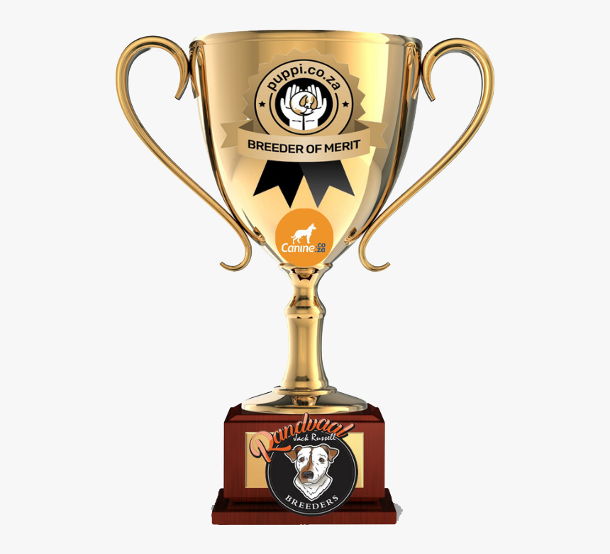 Prize Cups, HD Png Download