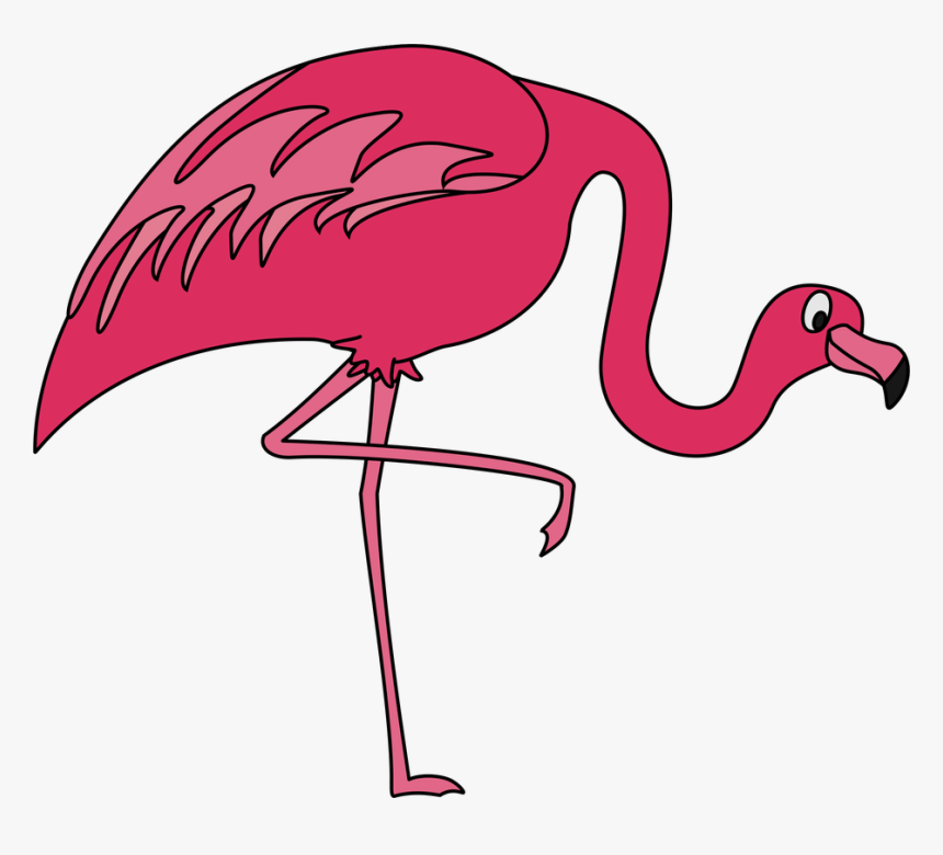 Pink Flamingo Clip Art - Flamingoclip Art, HD Png Download