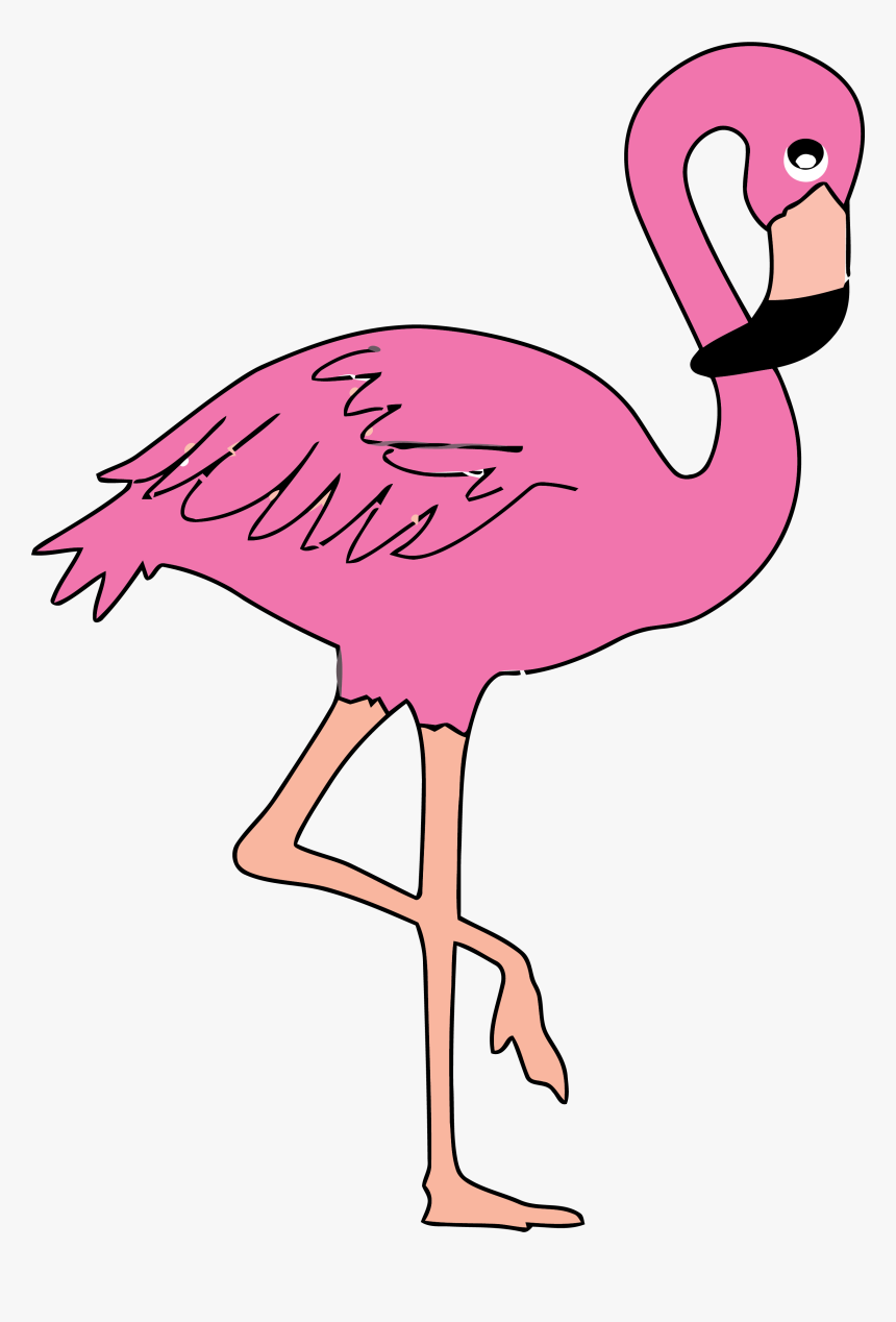 Pink Flamingo Clip Art - Flamingo Ks2, HD Png Download