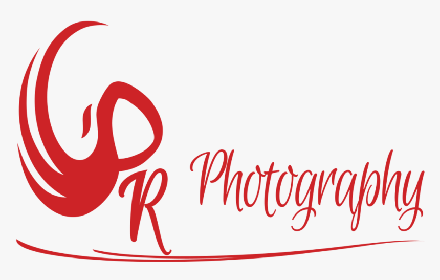 Photography Png Logo - Calligraphy, Transparent Png