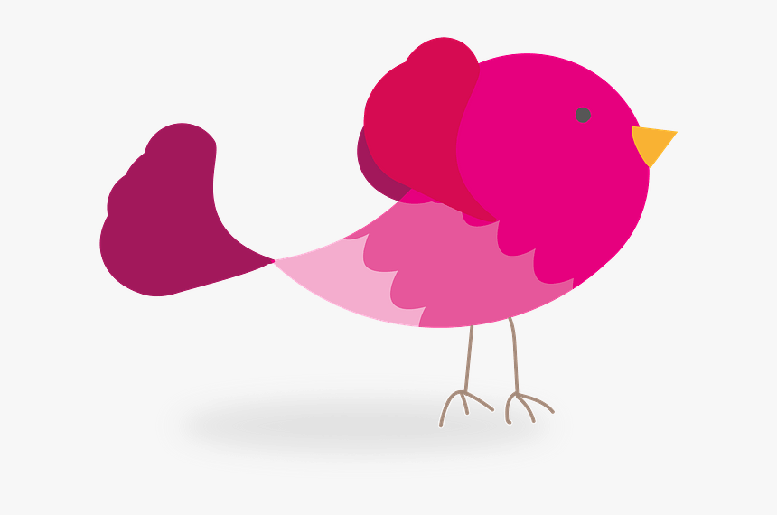 Vogel Grafik, HD Png Download