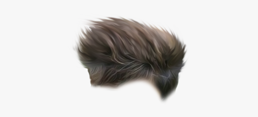 Lace Wig, HD Png Download