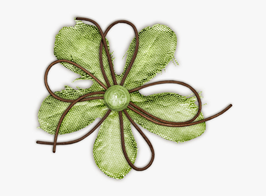 Green Flower Photo Greenflower - Flowers Green, HD Png Download