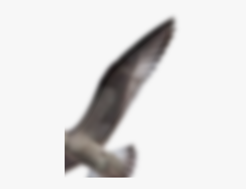 Hawk, HD Png Download