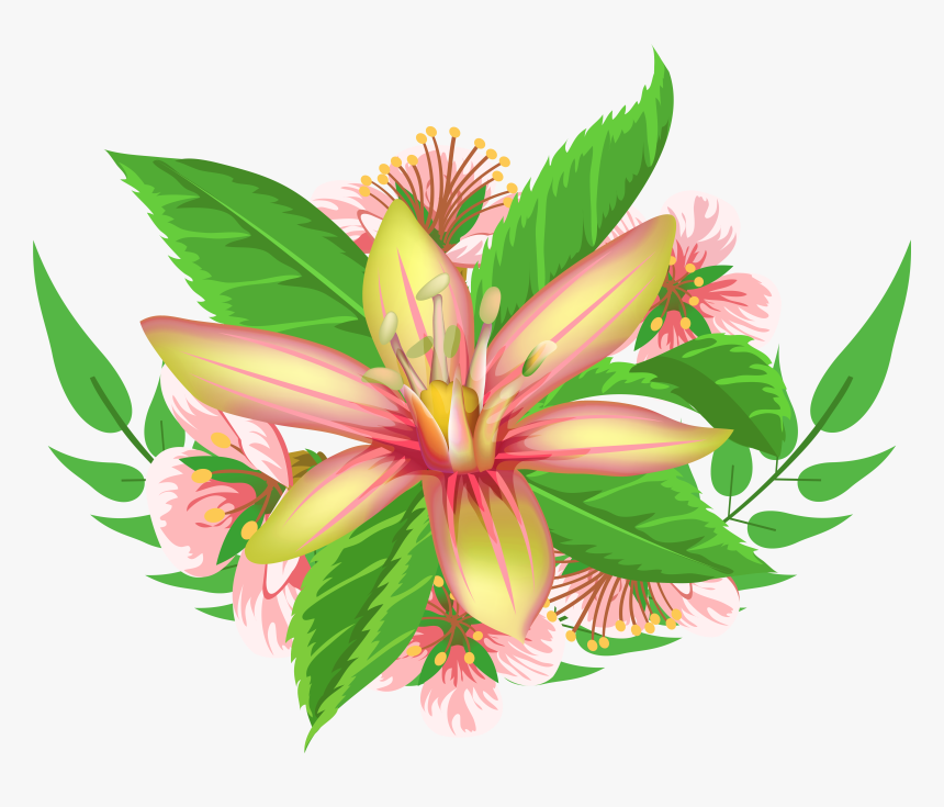 Decorative Element Png Image - Stargazer Lily, Transparent Png