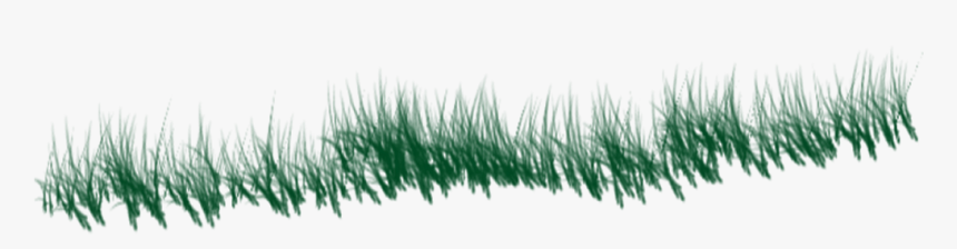 October Png Background - Eyelash Extensions, Transparent Png