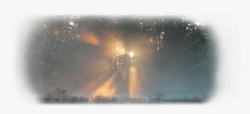 Transparent Orange Lens Flare Png - Sunlight, Png Download