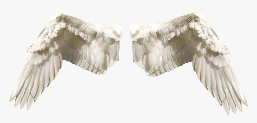 Guardian Angel Png Wings, Transparent Png