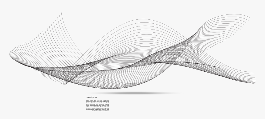 White Brand Pattern - Line Art, HD Png Download