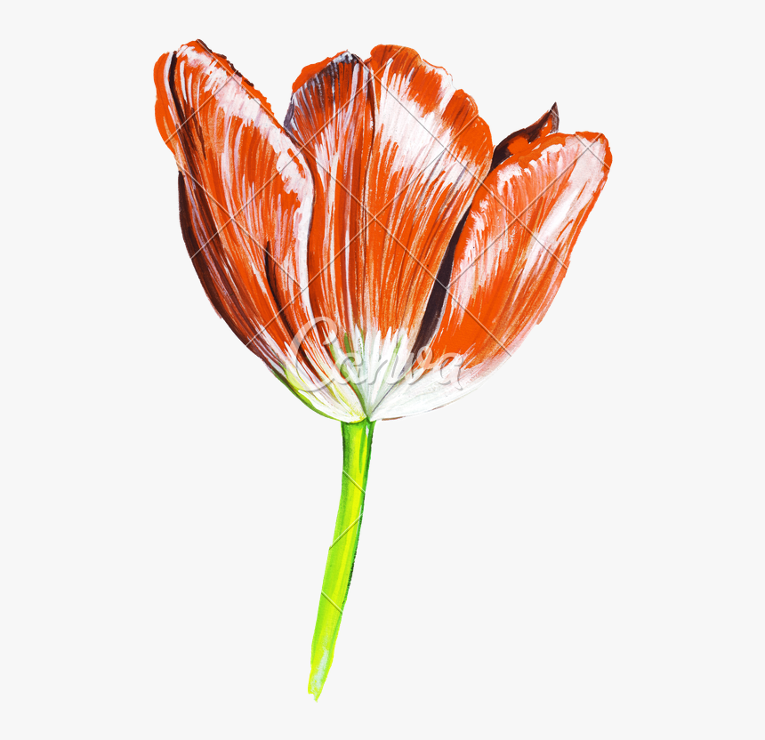 Drawn Flowers Png, Transparent Png