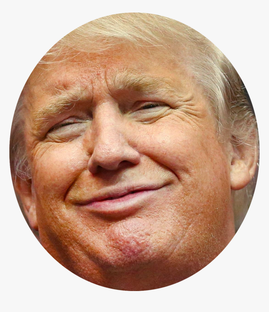 Trump Head Png Twitter Logo Trump Head Png Twitter - Trump Constipated Face, Transparent Png