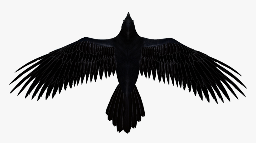 Flying Raven Png - 7 Days To Die Ravenhearst, Transparent Png