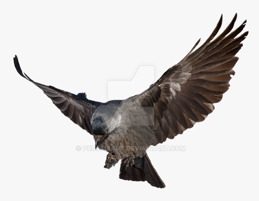 Prussia Clipart Transparent Background - Clip Art, HD Png Download