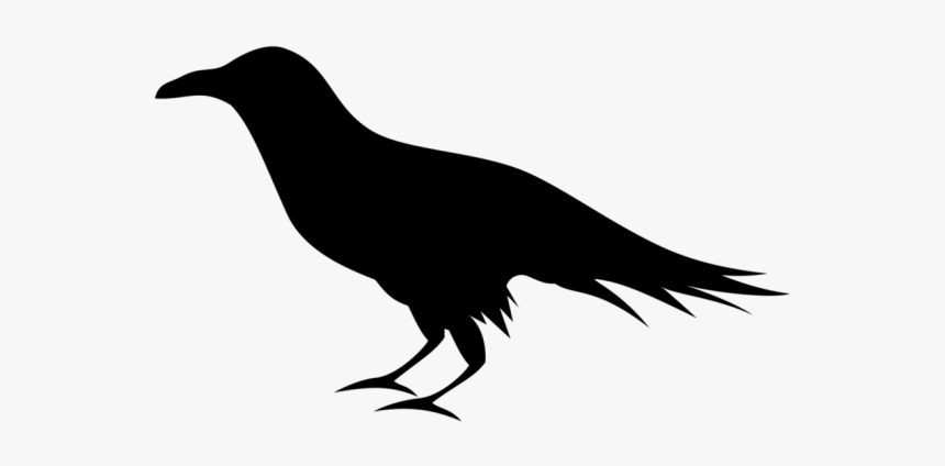 Raven Clipart Png, Transparent Png