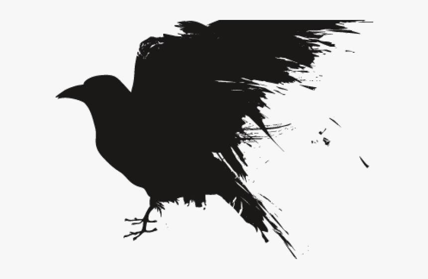 Portable Network Graphics Clip Art Common Raven Transparency - Raven Art Transparent Background, HD Png Download