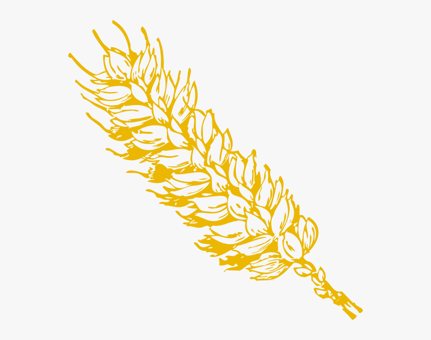 Gold Wheat 1 Clip Art At Clipart Library, HD Png Download