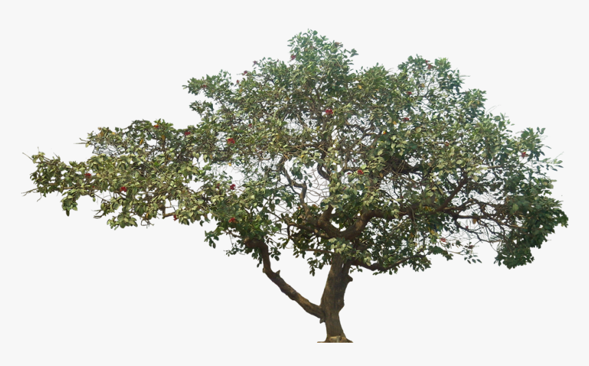 Portable Network Graphics, HD Png Download