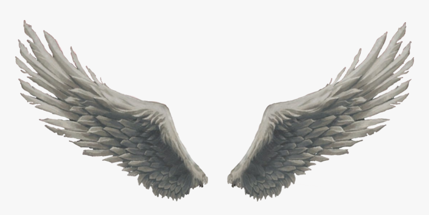 Angel Wings God Sticker - Feather Png For Editing, Transparent Png