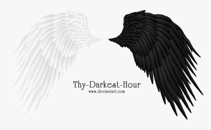 Angel Wings 08 Png By Thy Darkest Hour On Clipart Library - Alas Formato Png, Transparent Png