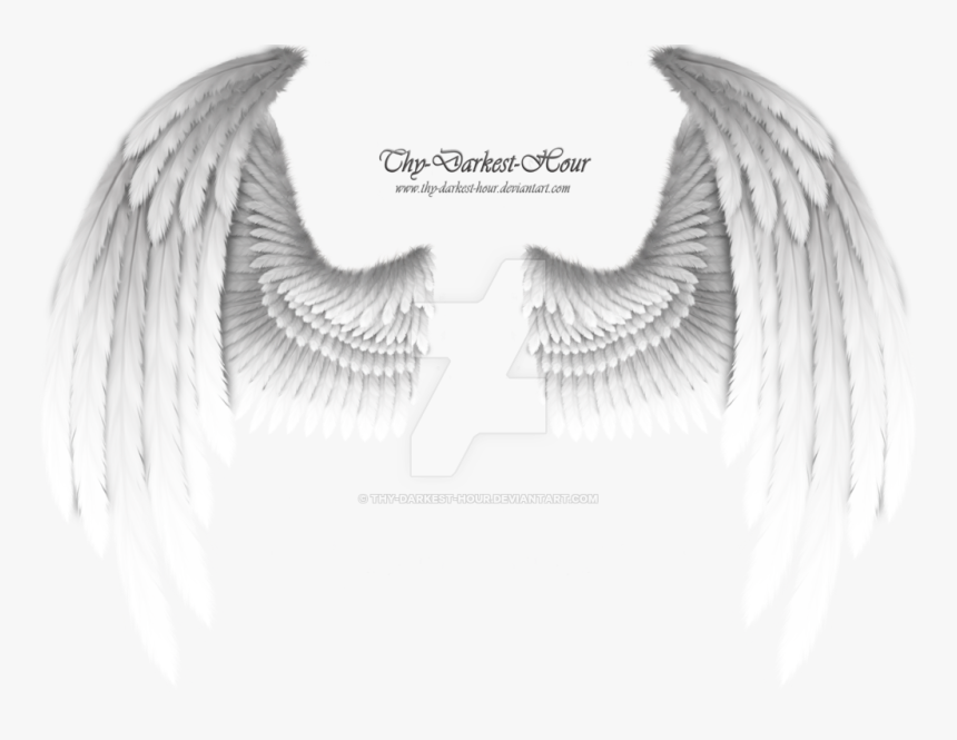 White Wings Png Download - Golden Angel Wings Png, Transparent Png