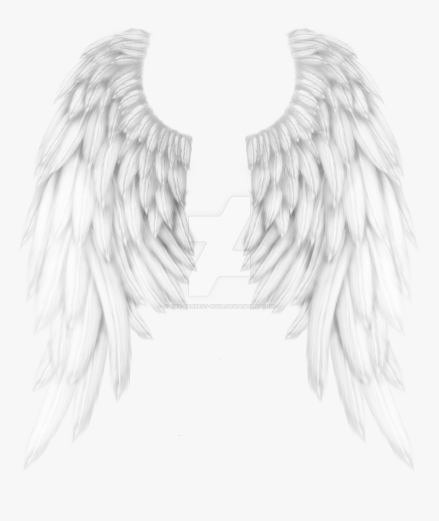 White Angel Wings Png - Realistic Angel Wings Drawing, Transparent Png