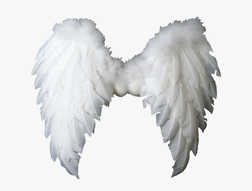 #angelwings #angels #angel #wings #feathers #fly #costume - Angel Wings Png Victoria Secret, Transparent Png
