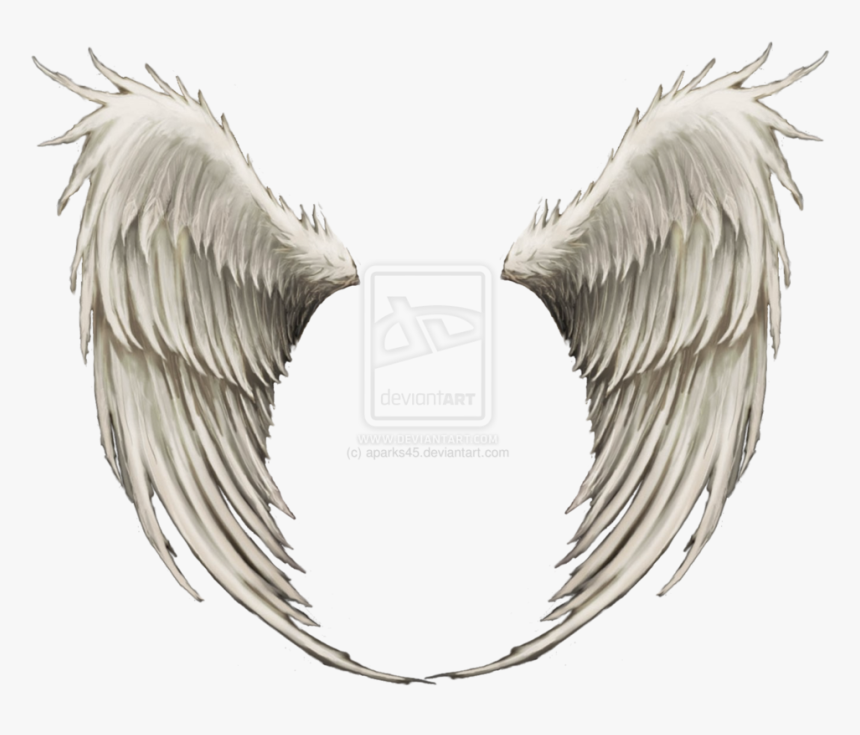 Angel Transparent Background Png Of Wings, Png Download