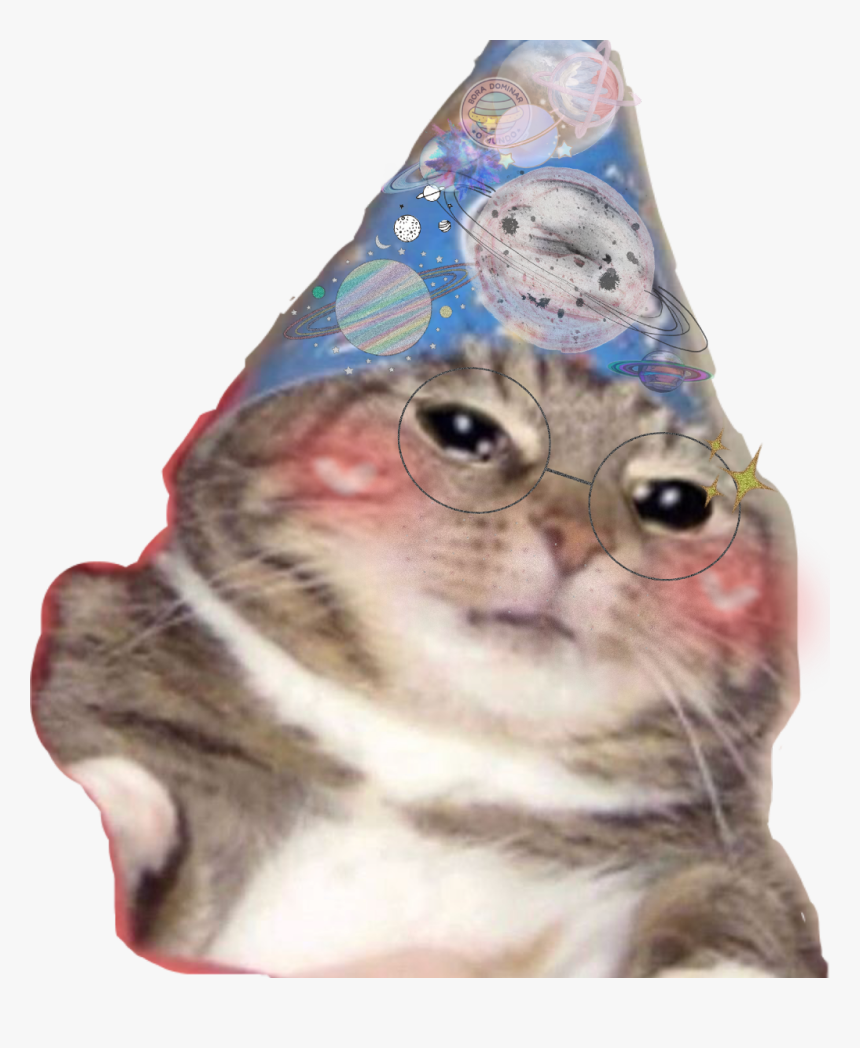 #funny #kitten #hat #birthday #celebration #blush #blushy - Think This Is A Motherfucking, HD Png Download