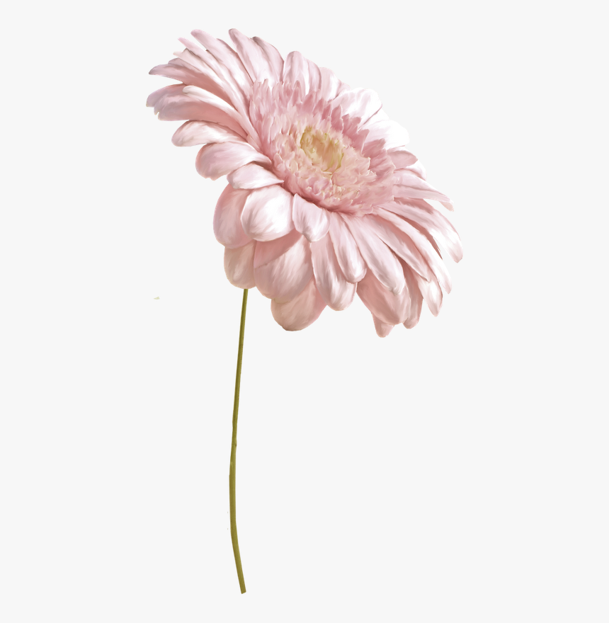 Flower, HD Png Download