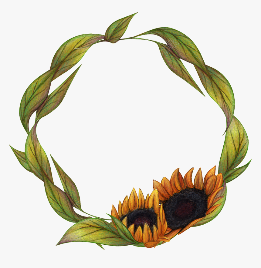 Sunflower Transparent Painted, HD Png Download