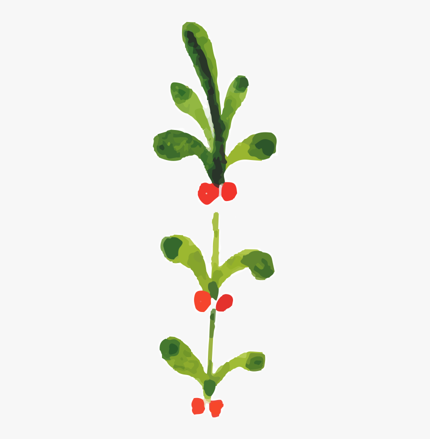 Watercolor Painting Christmas Plants - Transparent Background Christmas Clipart Free, HD Png Download