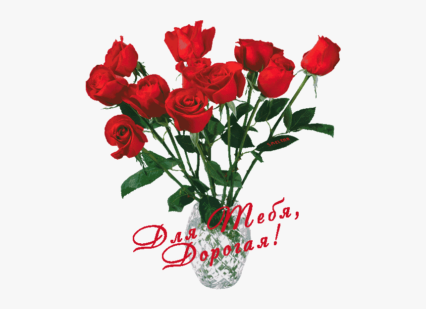 Изображение Для Плейкаста - Aesthetic Transparent Rose Png, Png Download