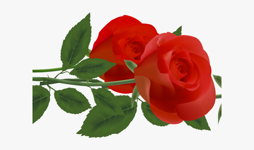 Red Rose Clipart Redflower - Clip Art, HD Png Download