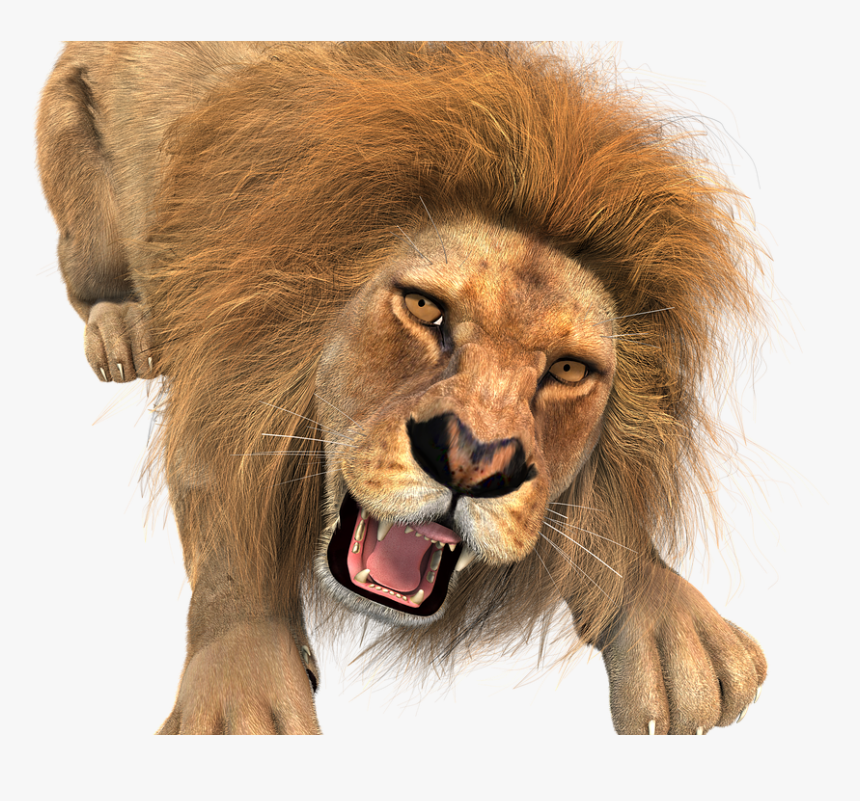 Animal, Lion, Male, King Of The Beasts, Big Cat, Wild - Lion Hunting Transparent Background, HD Png Download