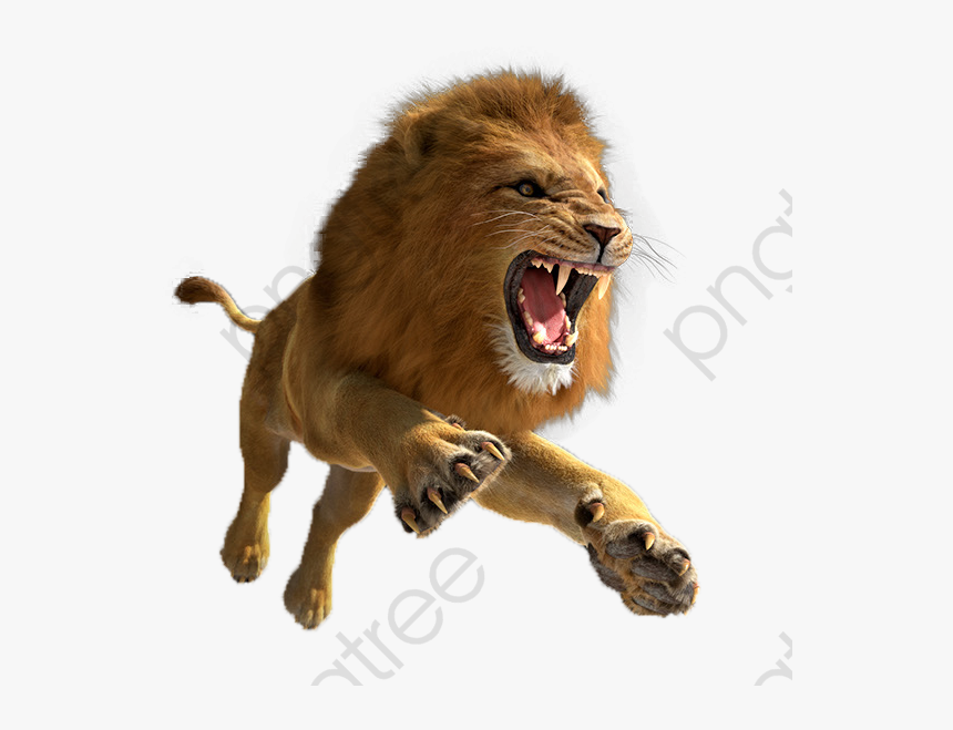 Lion Png Format Category - Lion Png, Transparent Png
