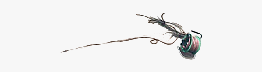 Pngfun - Com - Insect, Transparent Png