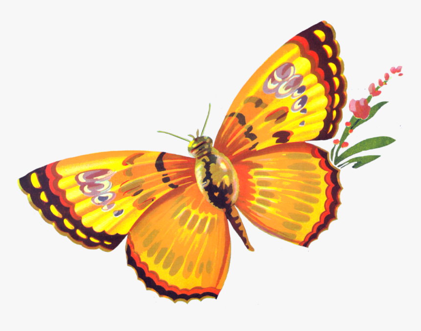 Mariposa Apple Label - San Francisco, Ca, HD Png Download
