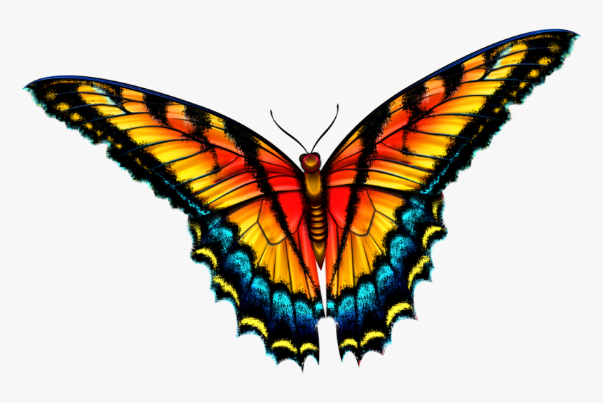 Insects Clipart Batterfly - Бабочки На Прозрачном Фоне, HD Png Download