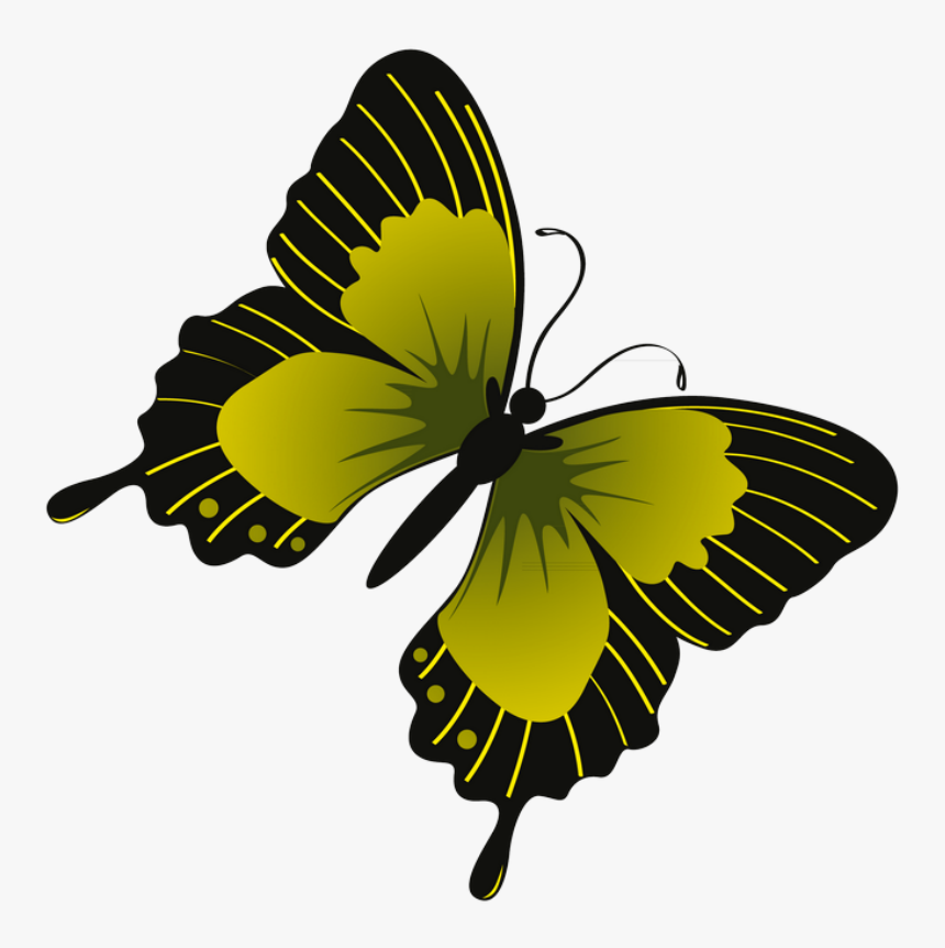 ‿✿⁀butterflies‿✿⁀ Butterfly Clip Art, Butterflies, - Butterfly, HD Png Download