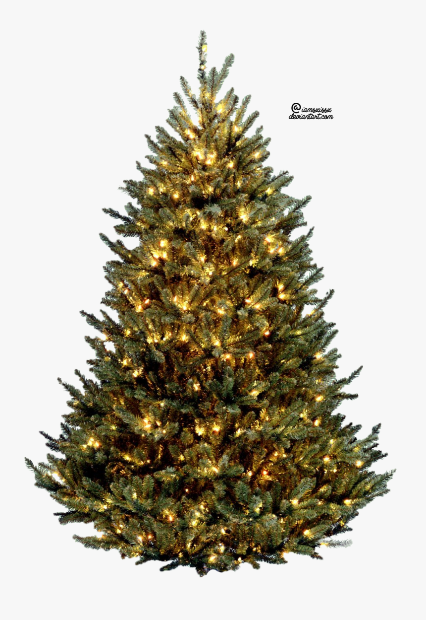 Christmas Tree Png Download Cliparts Only Clipground - Christmas Tree With Lights Png, Transparent Png