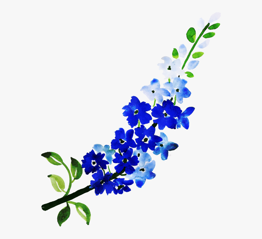 Delphinium, HD Png Download