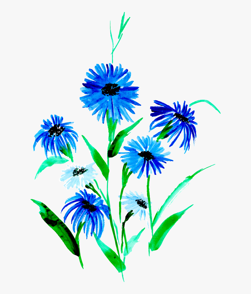 African Daisy, HD Png Download
