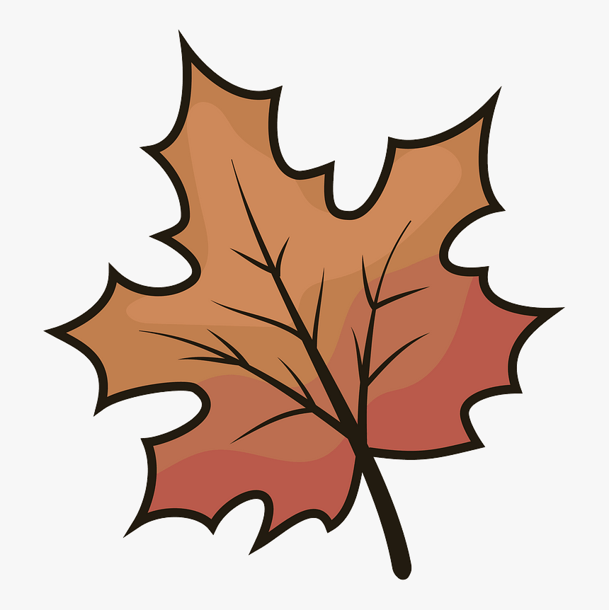 Hoja De Arce Clipart, HD Png Download