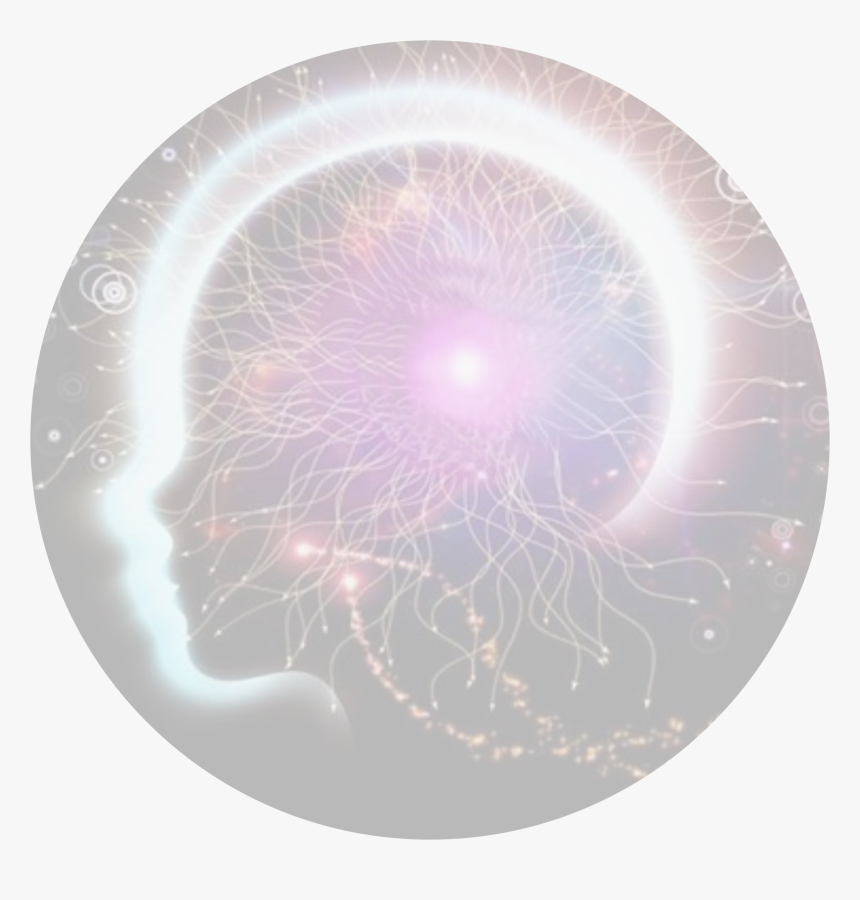 Circle, HD Png Download