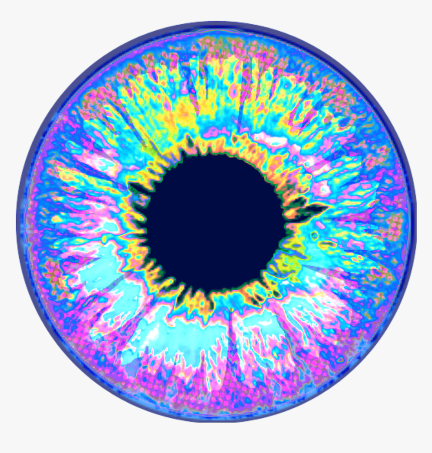 Circle, HD Png Download