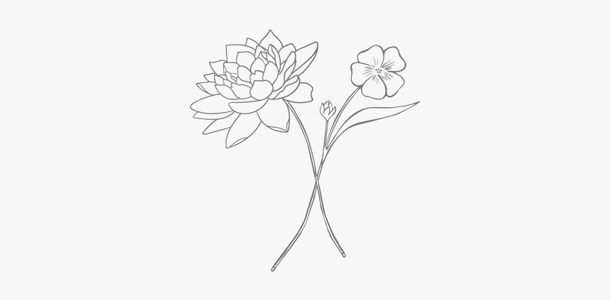 Lily, HD Png Download
